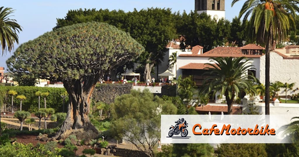 Icod de los Vinos: Home of the Majestic Drago Milenario